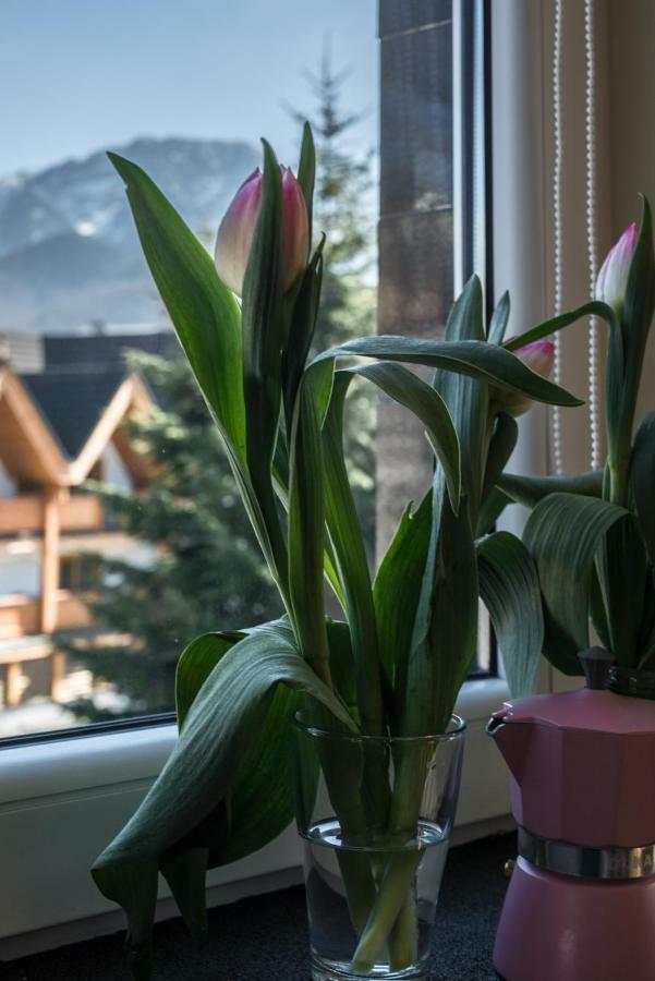 5 Krokow Zakopane Exterior foto